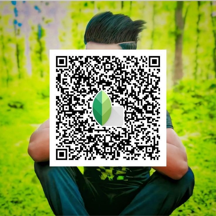 Snapseed QR code21
