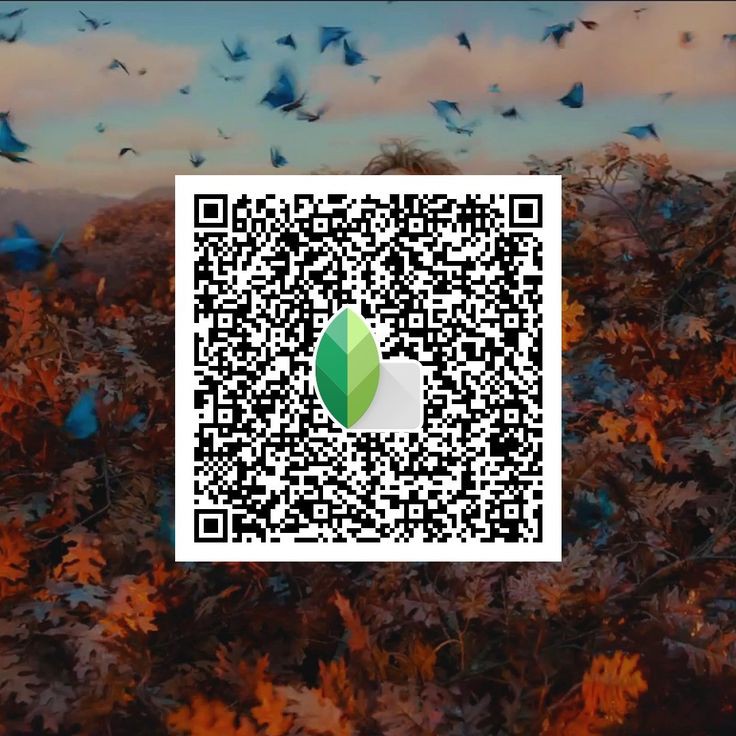 how to use snapseed qr code