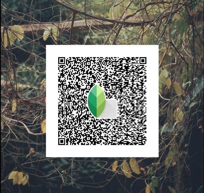 how to use snapseed qr code