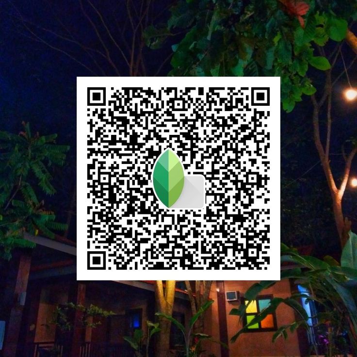 snapseed ai qr code