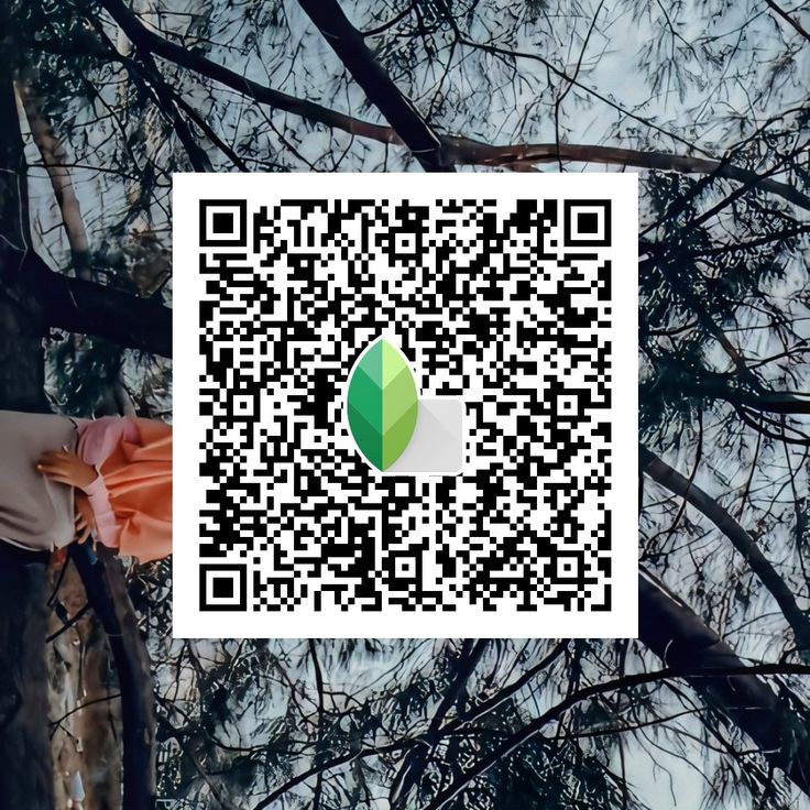snapseed qr code preset download