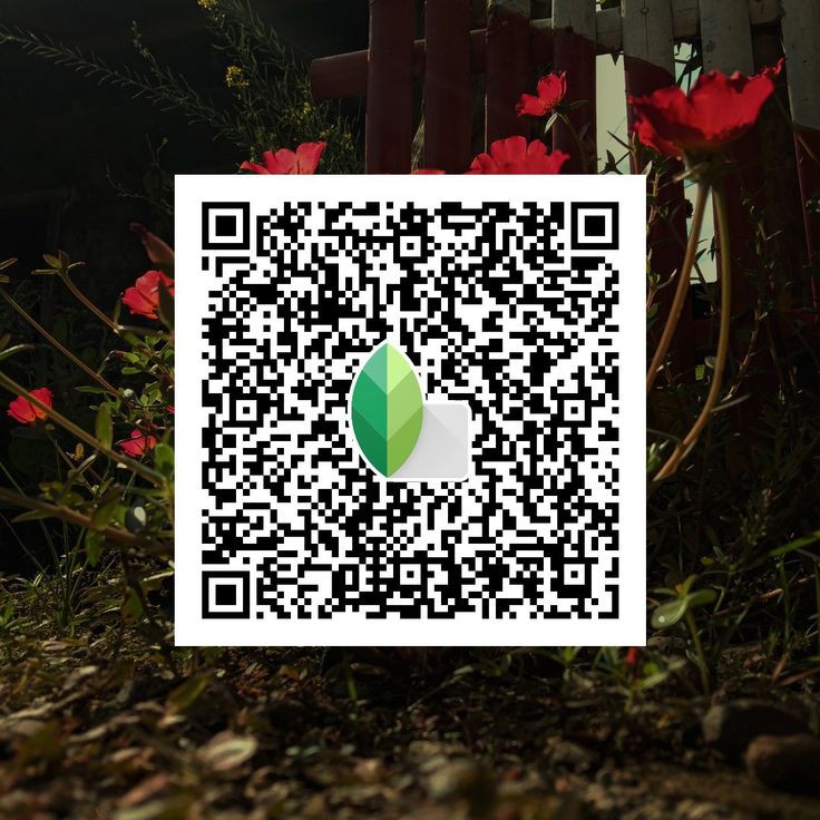 snapseed qr codes all