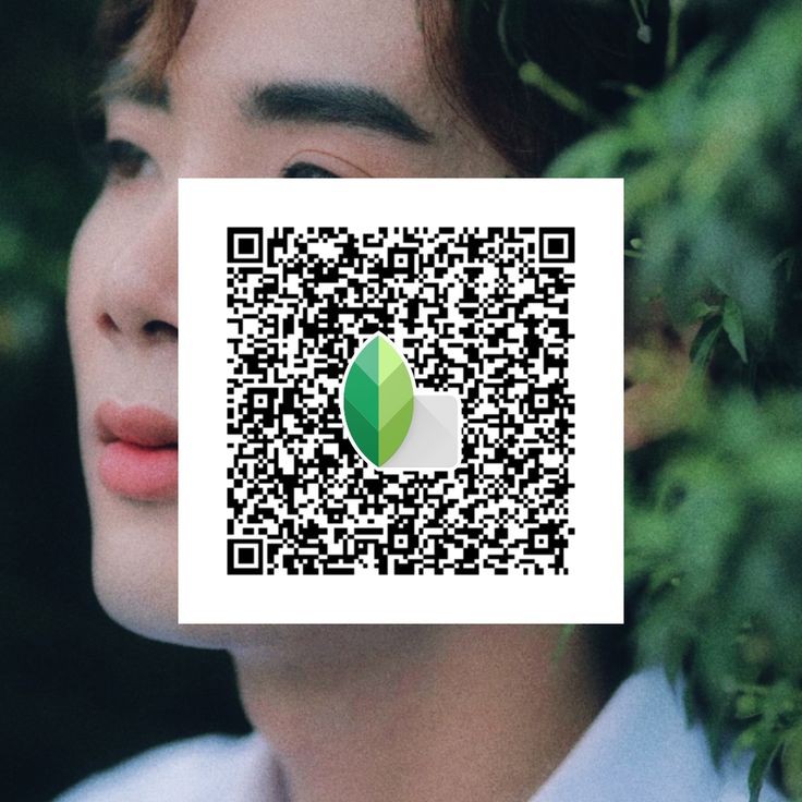 snapseed qr codes hd