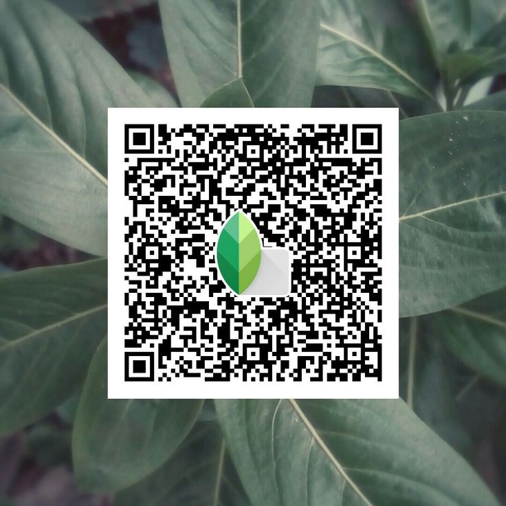 snapseed qr codes hd