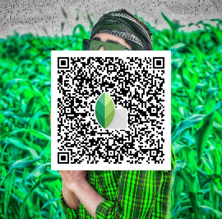 snapseed qr codes hd face smooth